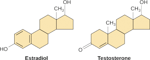 <p>An example of a ligand that can enter the cell (small, hydrophobic, bind to intracellular receptors) key to the human body are ______.</p>