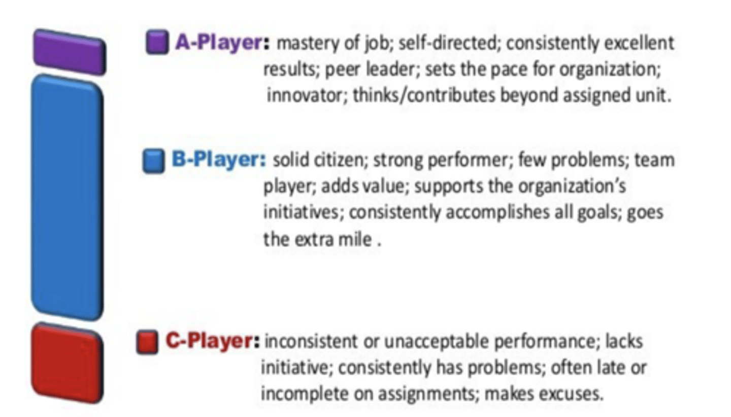 <p>Using the performance appraisal</p>