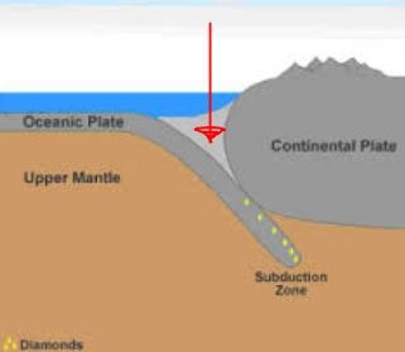 <p>Extremely deep areas in the ocean that are created by a subducting plate</p>