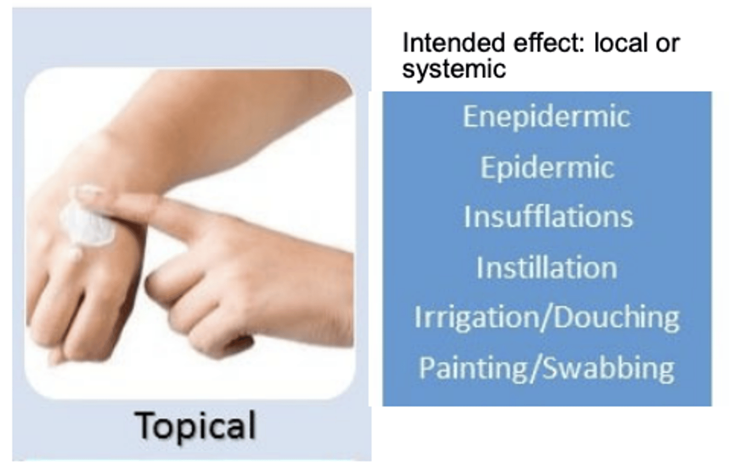<p>- topical has improved BA</p><p>- bypasses first-pass</p><p>(absorption and onset of action more rapid than oral drugs)</p>