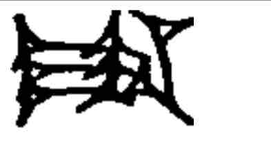 term image
