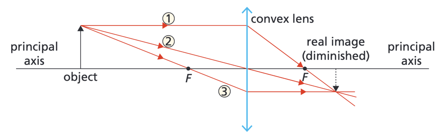 <ul><li><p>Real</p></li><li><p>Inverted</p></li><li><p>Diminished</p></li></ul><p>[Note- the size in this example only applies if the object is beyond 2F (twice the principle focus)- if the object is on 2F, the image will be the same size- if the object is between 2F and F, it will be enlarged/magnified)</p>
