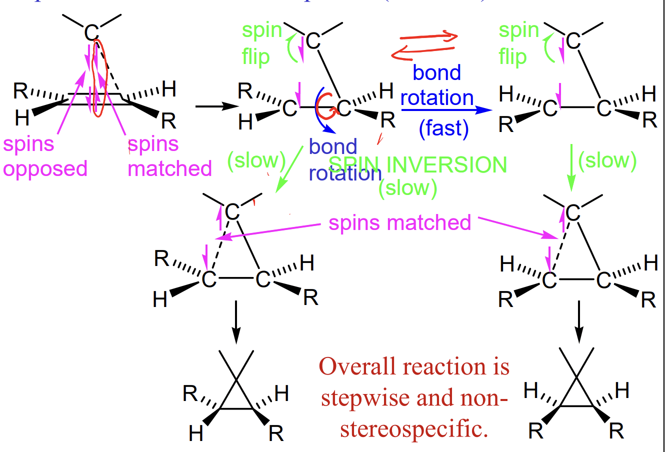 <p>spin flip required = slow</p><p>bond rotation possible before spin flip  </p>
