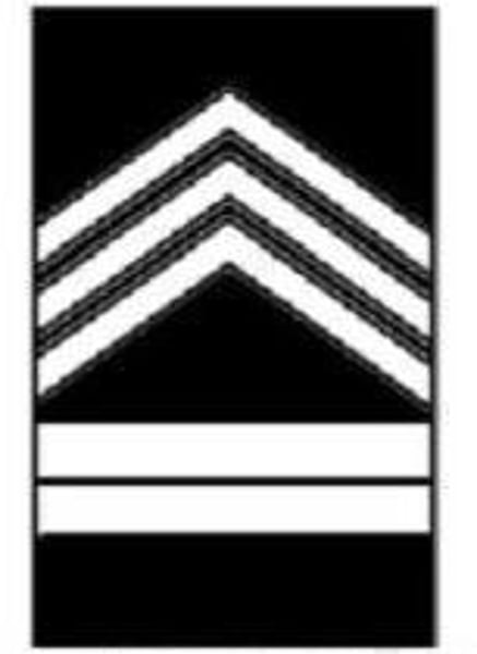 <p>3 Chevrons 2 Bars</p>