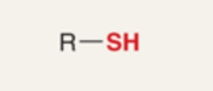 <p>Compound containing a sulfhydryl group (-SH) attached to carbon (R–SH).</p>