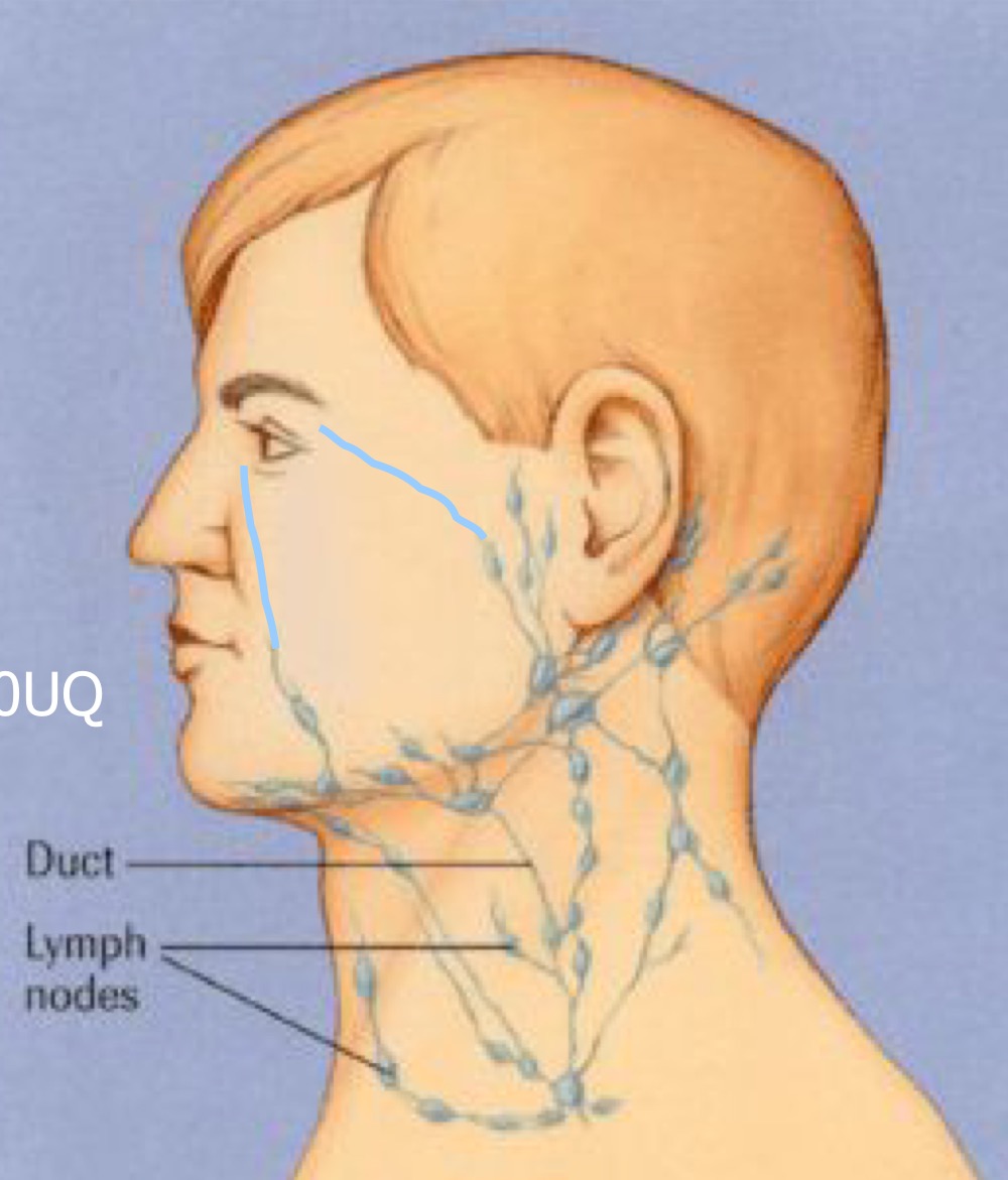 preauricular nodes AKA superficial parotic nodes