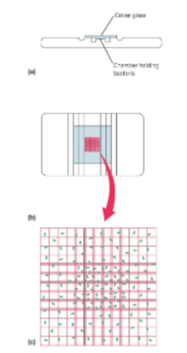 <p>- easy, expensive, quick</p><p>- useful for counting both prokaryotes and eukaryotes</p><p>- cannot distinguish living from dead cells</p>