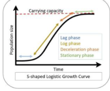 <p>carrying capacity; S-shaped</p>