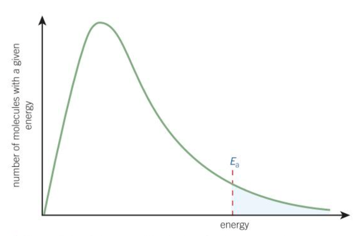 <p>The spread of molecular energies in gasses </p>