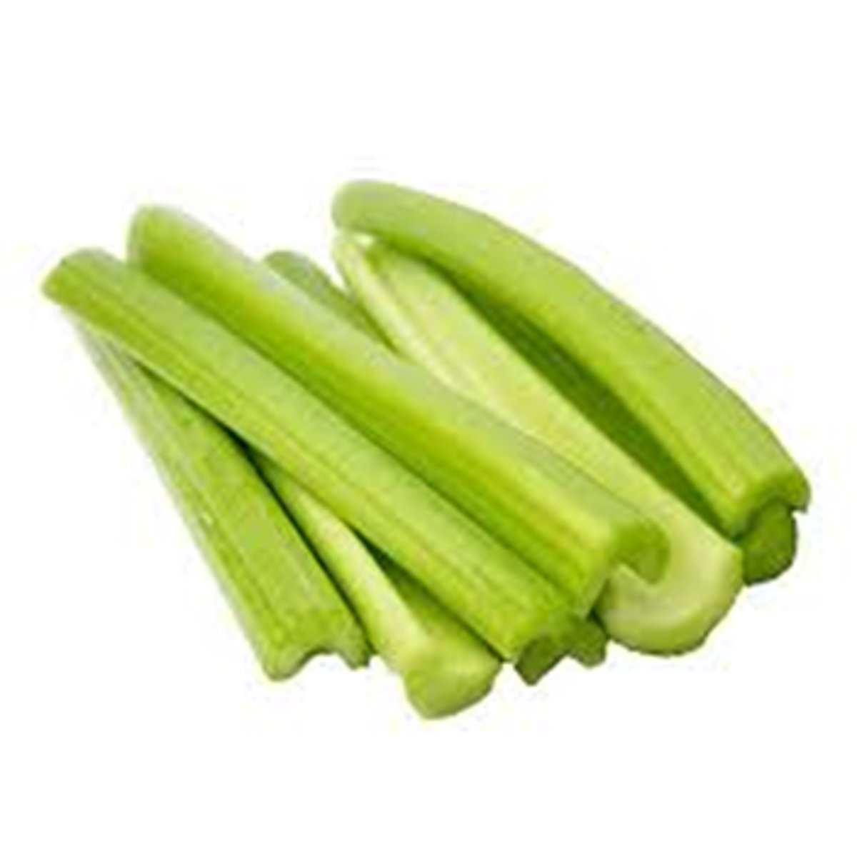 <p>What structures have been modified to store starch in celery?</p>