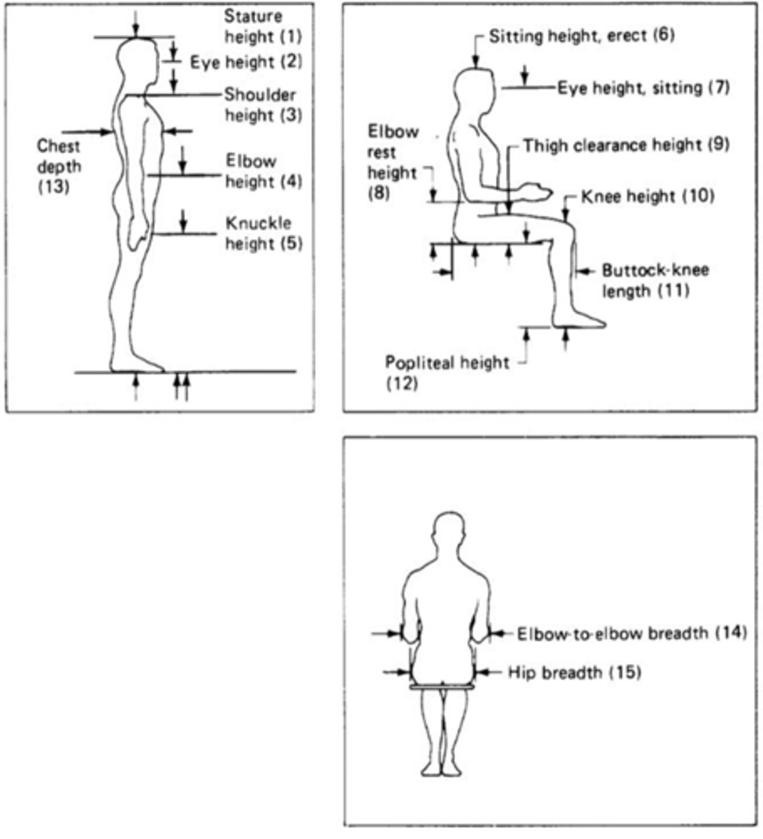 <p>Can be sitting or standing</p>