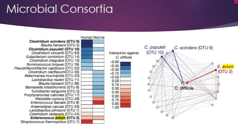 <p>This slide is just how they measure the microbe communities and its very difficult to measure as it needs specialized tools. So microbial consortia is referred as a group of diverse microorganisms that have the ability to act together in a community.</p>