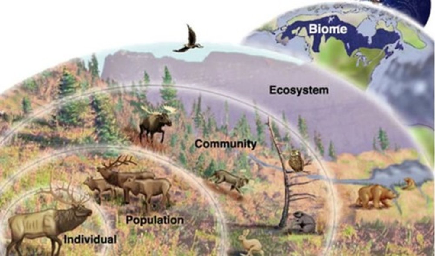 <p>A group of ecosystems that share similar climates and typical organisms.</p>