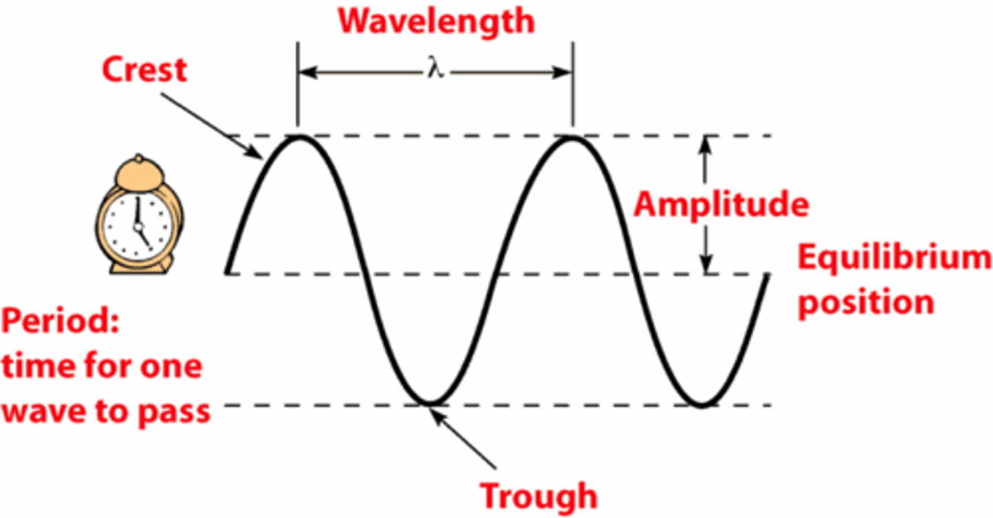 <p>Vibrations (speed in air/room temp is 340 m/s).</p><p>Pressure changes of great to little compression.</p><p>Frequency-determines pitch (cycles/sec; Hz), species perceive pitch differently (Humans ~20-20,000 Hz)</p><p>Amplitude-determines loudness (dB), above 130 dB causes instant, irreversible hearing loss.</p>