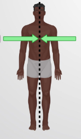<p><span>toward the middle or midline</span></p>