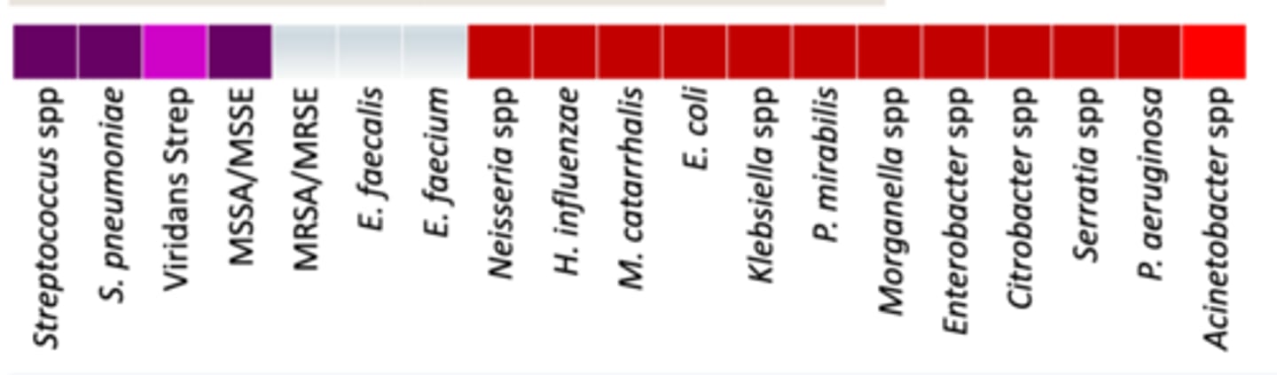 <p>• Anaerobes: +/- (oral anaerobes)</p><p>• Miscellaneous: </p><p>- Stable against AmpC</p><p>- Poor activity against Steno and Achromabacter (unlike ceftazidime) </p><p>• Coverage - Stable against AmpC. and against everything except enterooccuses (like all the other cephalosporins), and MRSA. Also didn’t work as well for viridans strep, and Acinteobacter spp.</p>