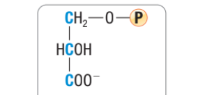<p>What molecule is this?</p>