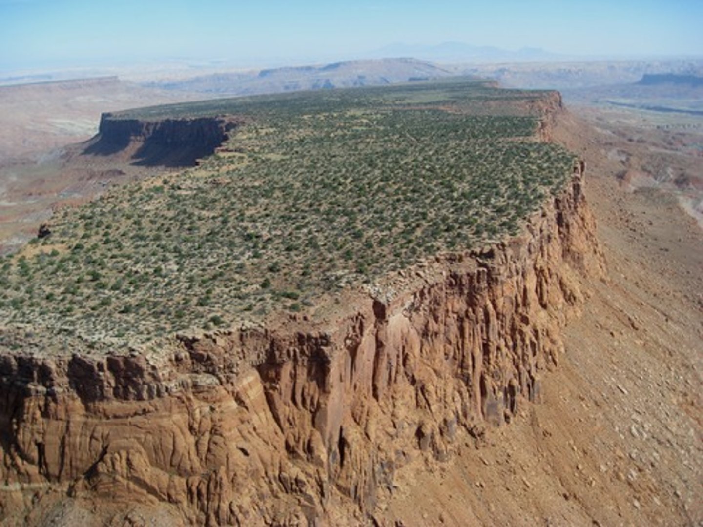 <p>A high, flat-topped landform with steep sides; wider than a butte</p>