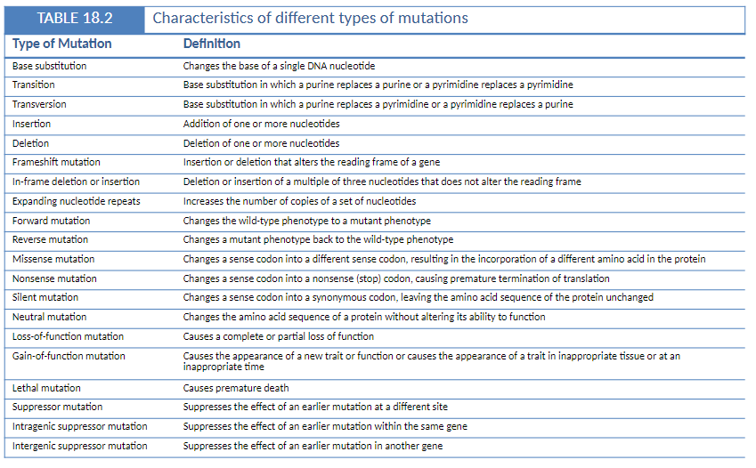 <p><strong>Base Substitution</strong><br> Change of a single DNA nucleotide</p><p><strong>Transition</strong><br> Purine <span data-name="left_right_arrow" data-type="emoji">↔</span> purine or pyrimidine <span data-name="left_right_arrow" data-type="emoji">↔</span> pyrimidine</p><p><strong>Transversion</strong><br> Purine <span data-name="left_right_arrow" data-type="emoji">↔</span> pyrimidine</p><p><strong>Insertion</strong><br> Addition of one or more nucleotides</p><p><strong>Deletion</strong><br> Loss of one or more nucleotides</p><p><strong>Frameshift Mutation</strong><br> Insertion or deletion that alters the reading frame of a gene</p><p><strong>In-Frame Deletion or Insertion</strong><br> Deletion or insertion in multiples of three nucleotides<br> Does not change the reading frame</p><p><strong>Expanding Nucleotide Repeats *NOT ON EXAM</strong><br> Increase in the number of copies of a nucleotide sequence</p><p><strong>Forward Mutation</strong><br> Changes wild-type phenotype to mutant</p><p><strong>Reverse Mutation</strong><br> Restores mutant phenotype back to wild-type</p><p><strong>Missense Mutation</strong><br> Sense codon changes to a different sense codon<br> Incorporates a different amino acid</p><p><strong>Nonsense Mutation</strong><br> Sense codon changes to a stop codon<br> Causes premature translation termination</p><p><strong>Silent Mutation</strong><br> Codon changes but amino acid sequence remains unchanged</p><p><strong>Neutral Mutation</strong><br> Changes amino acid without affecting protein function</p><p><strong>Loss-of-Function Mutation</strong><br> Complete or partial loss of normal protein function</p><p><strong>Gain-of-Function Mutation</strong><br> New trait or function appears<br> Can be expressed at inappropriate tissue or time</p><p><strong>Lethal Mutation</strong><br> Causes premature death</p><p><strong>Suppressor Mutation</strong><br> Suppresses effect of an earlier mutation at a different site</p><p><strong>Intragenic Suppressor Mutation</strong><br> Suppresses effect of a mutation within the same gene</p><p><strong>Intergenic Suppressor Mutation</strong><br> Suppresses effect of a mutation in a different gene</p>