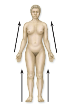 <p>closer to the point of attachment of a limb to the body trunk</p>