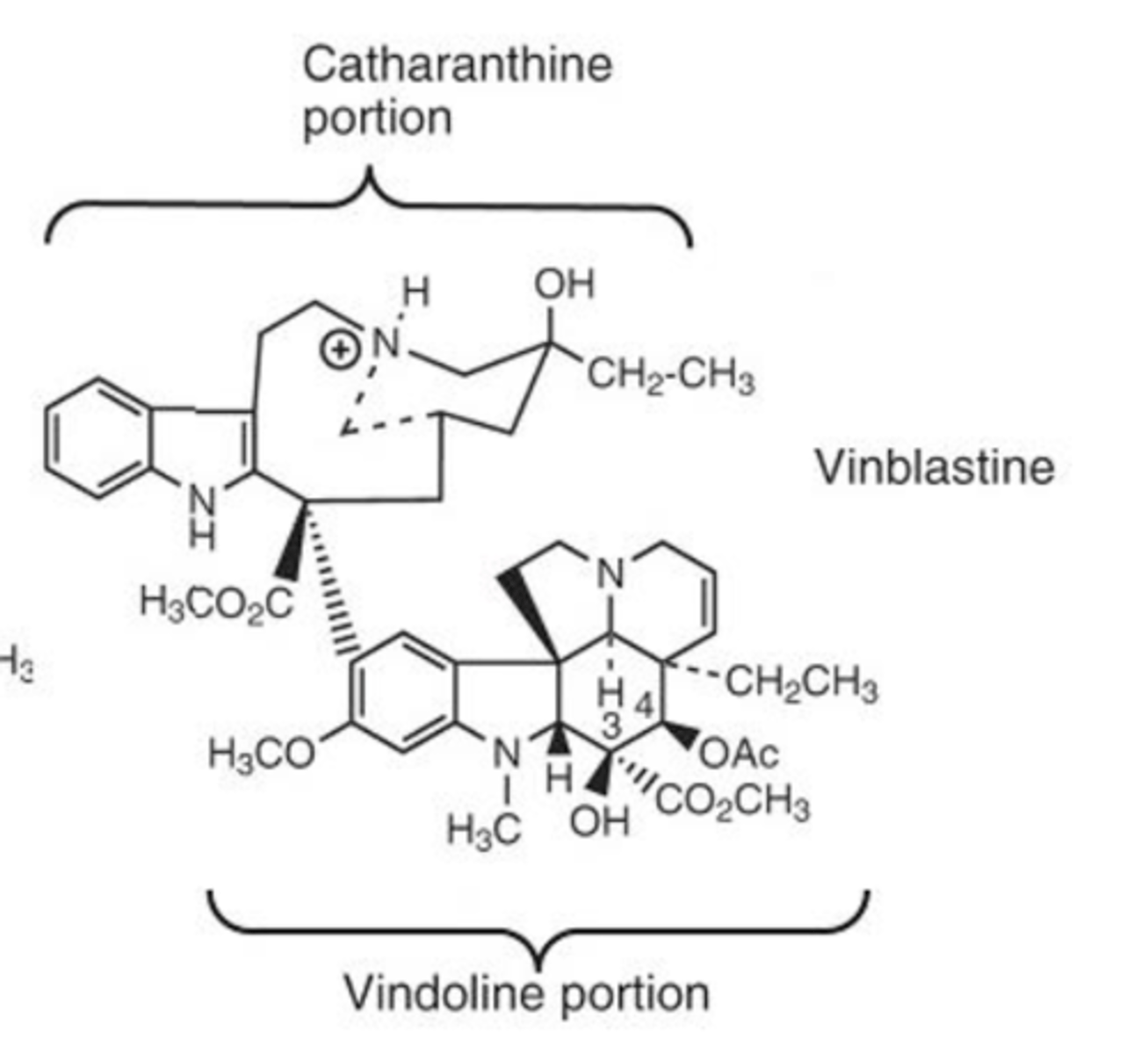 <p>Note the different portions</p><p>-multicyclic portion on bottom is "vindoline portion"</p><p>-multicyclic portion on top is "catharanthine portion"</p>