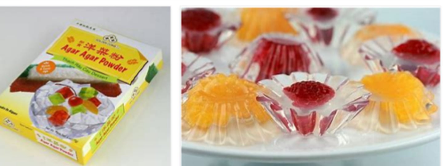 <p>Agar is the solidifying agent (make the broth solid) and is NOT used for nutrition</p>