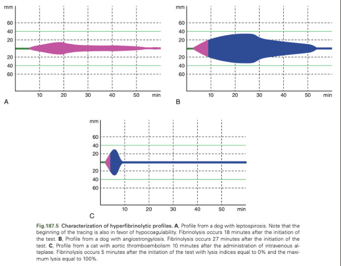 <p>Depending on the methodology, there may be an increase or decrease in lysis calculation</p>