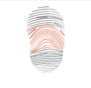<p>Using the image below which of the following patterns is seen in the fingerprint?</p>