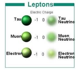 <ul><li><p>Leptons</p></li><li><p>Negative ( - ) charge</p></li><li><p>Mass = 9.109 * 10^-31 kg</p></li></ul>