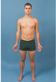 <p>Anatomic Position </p>