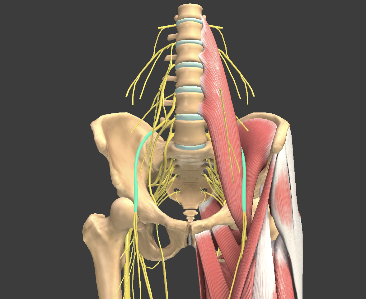 <p>What structure is shown?</p>