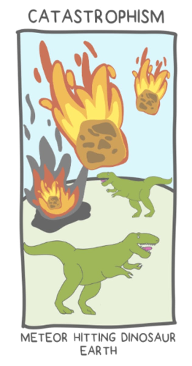 <p>catastrophism; fossil layers</p>