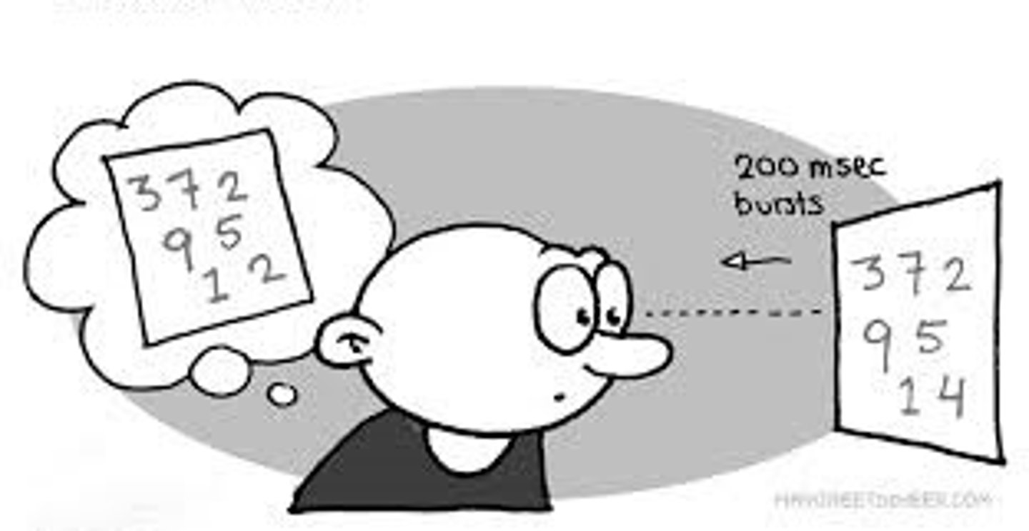 <p>a type of short-term sensory memory in which one can recall visual images for just a few milliseconds after the physical image has disappeared</p>