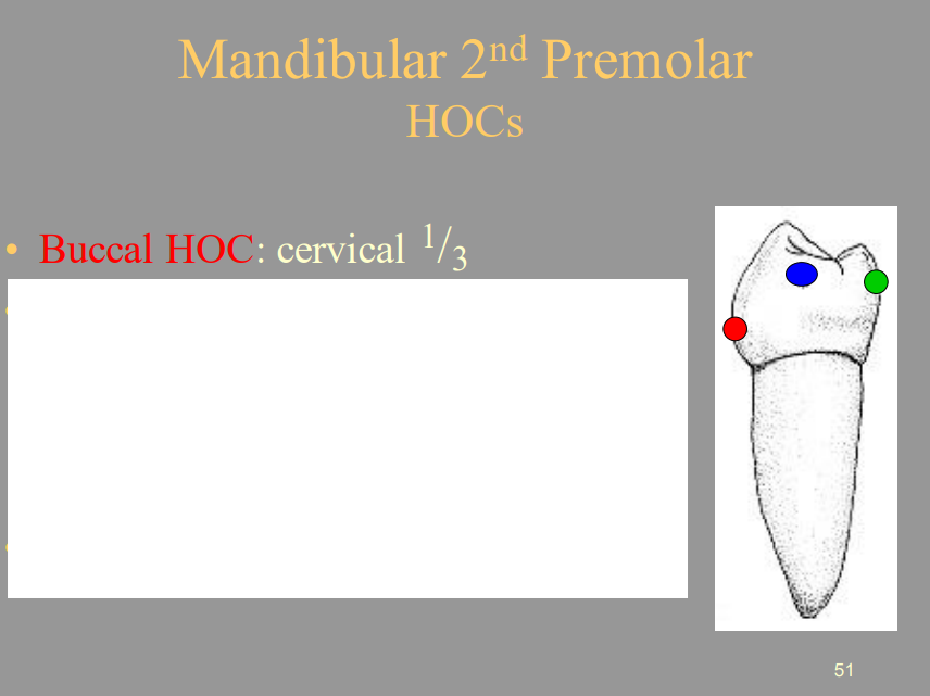 <p>B) Cervical 1/3</p>