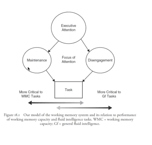 - Tests of working memory capacity place primary demand on the maintenance related aspects of the working memory system and secondary demand on the disengagement aspects
- Fluid intelligence tests place demand in the reverse order 

- Thus, the observed constructs of working memory capacity and fluid intelligence do not represent separate cognitive abilities, so much as they represent different and sometimes contradictory functions that are necessary for information processing