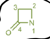 <p>4 carbon ring but with a nitrogen in the bottom right (1), double bonded oxygen substituted on the bottom left carbon (4)</p>