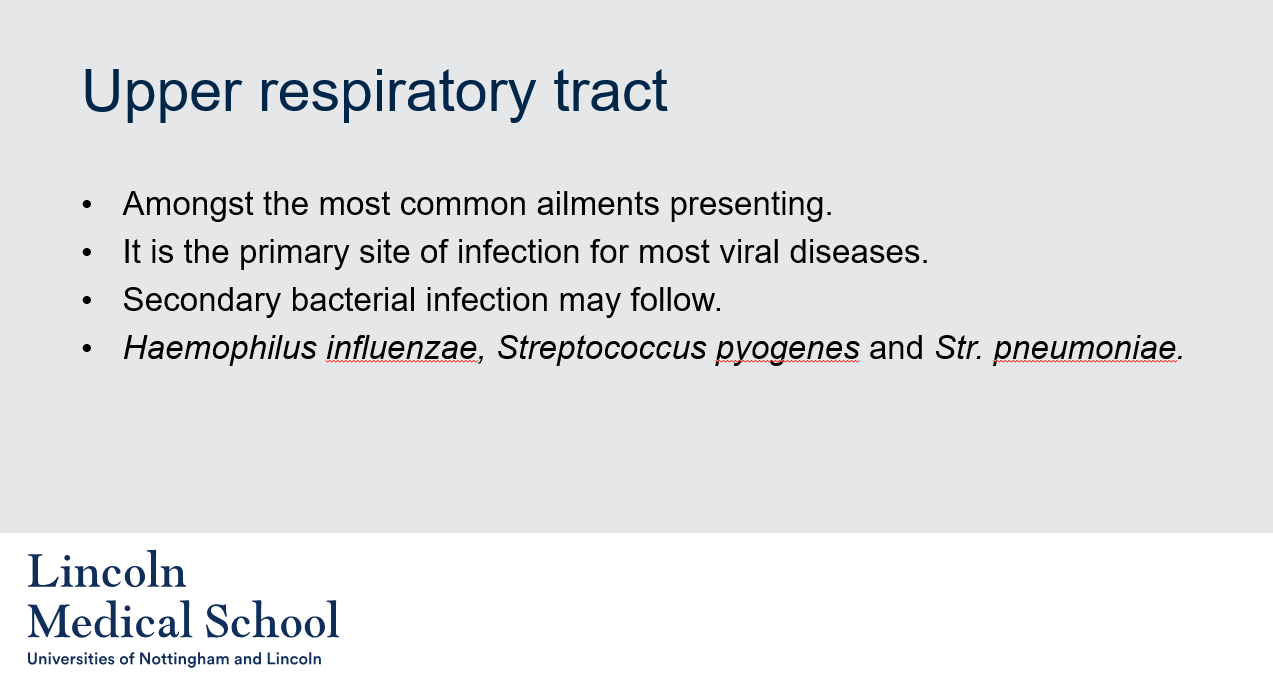 <ol><li><p>The upper respiratory tract refers to the parts of the respiratory system that are located above the trachea, including the nose, sinuses, pharynx, and larynx.</p></li><li><p>Upper respiratory tract infections are among the most common ailments that present in the upper respiratory tract. Upper respiratory tract infections are common because the upper respiratory tract is the primary site of infection for most viral diseases.</p></li><li><p>A secondary bacterial infection is an infection that occurs after a primary infection, usually caused by a virus, has weakened the body&apos;s immune system and made it more susceptible to bacterial invasion. In the case of upper respiratory tract infections, bacterial infections can follow viral infections and may be caused by bacteria such as Haemophilus influenzae, Streptococcus pyogenes, and Streptococcus pneumoniae.</p></li></ol>