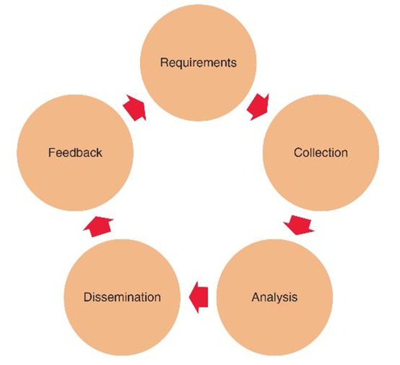 <p>Requirements, collection, analysis, dissemination, and feedback.</p>