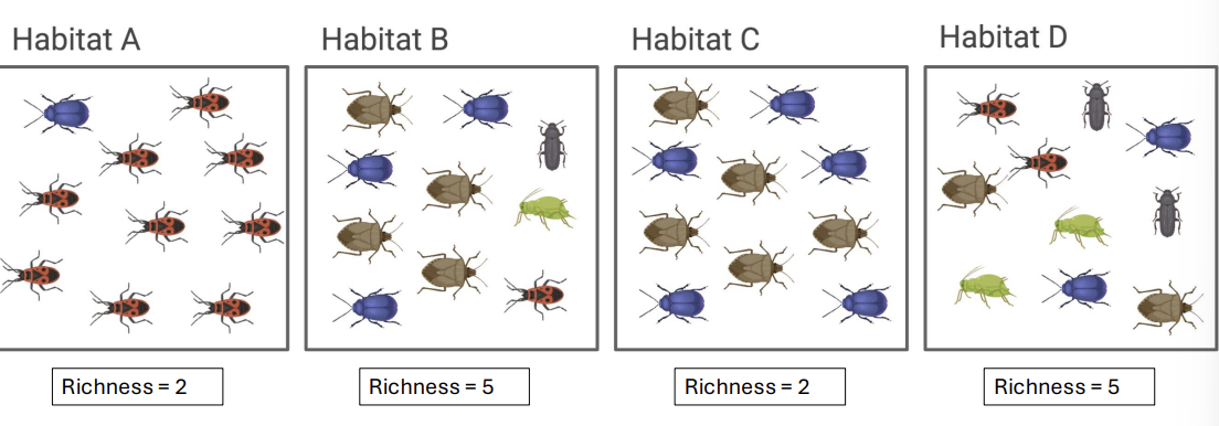 <p>what is <strong>species diversity?</strong></p>