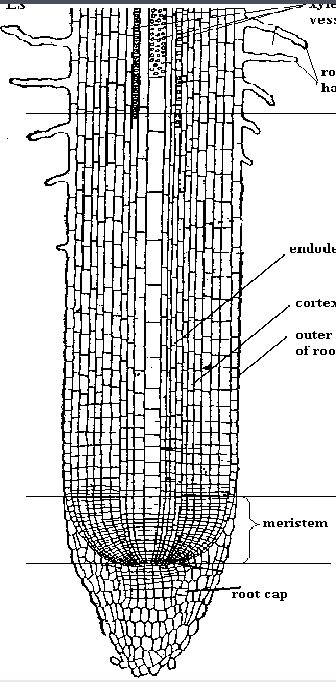 <p>What is this?</p>