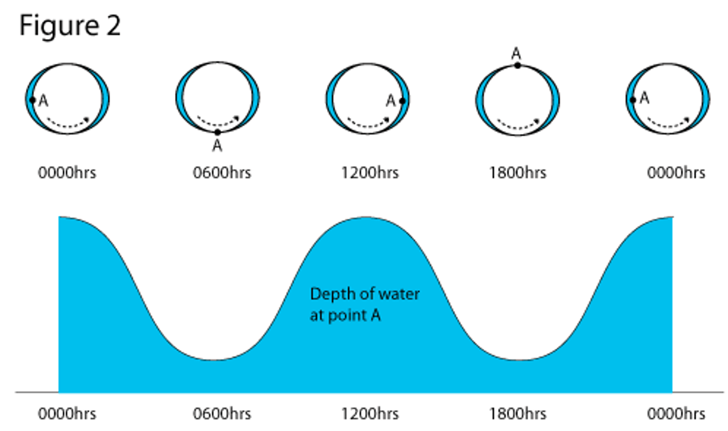 <p>The changing of tides through time. At any one time there are two places with high tides and two places with low tides on Earth.</p>