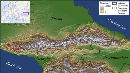 <p>A mountain system in southeastern Europe between the Black Sea and the Caspian Sea where the Russian invaded the Ottoman Empire</p>
