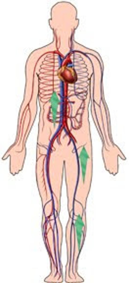 <p>consciousness, a pulse, pink nail beds, warm skin</p><p>If a person does not have these, they are in cardiac arrest</p>
