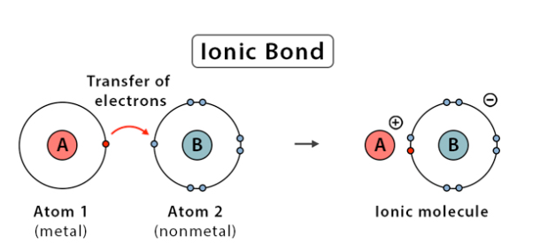 <p>metal (usually a cation) and nonmetal (usually an anion) elements form a bond. metal donates an electron to the nonmental, relationship typically uneven.</p>