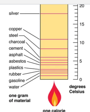 <p>high specific heat capacity of water</p>