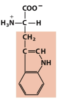 <p>Aromatic</p>