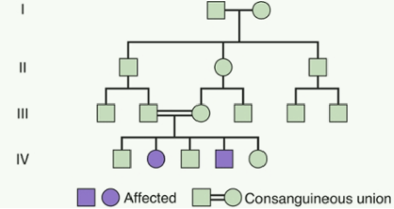<p>What type of inheritance pattern has horizontal transmission, occurring usually from heterozygous parents &amp; typically affects only a single generation?</p>