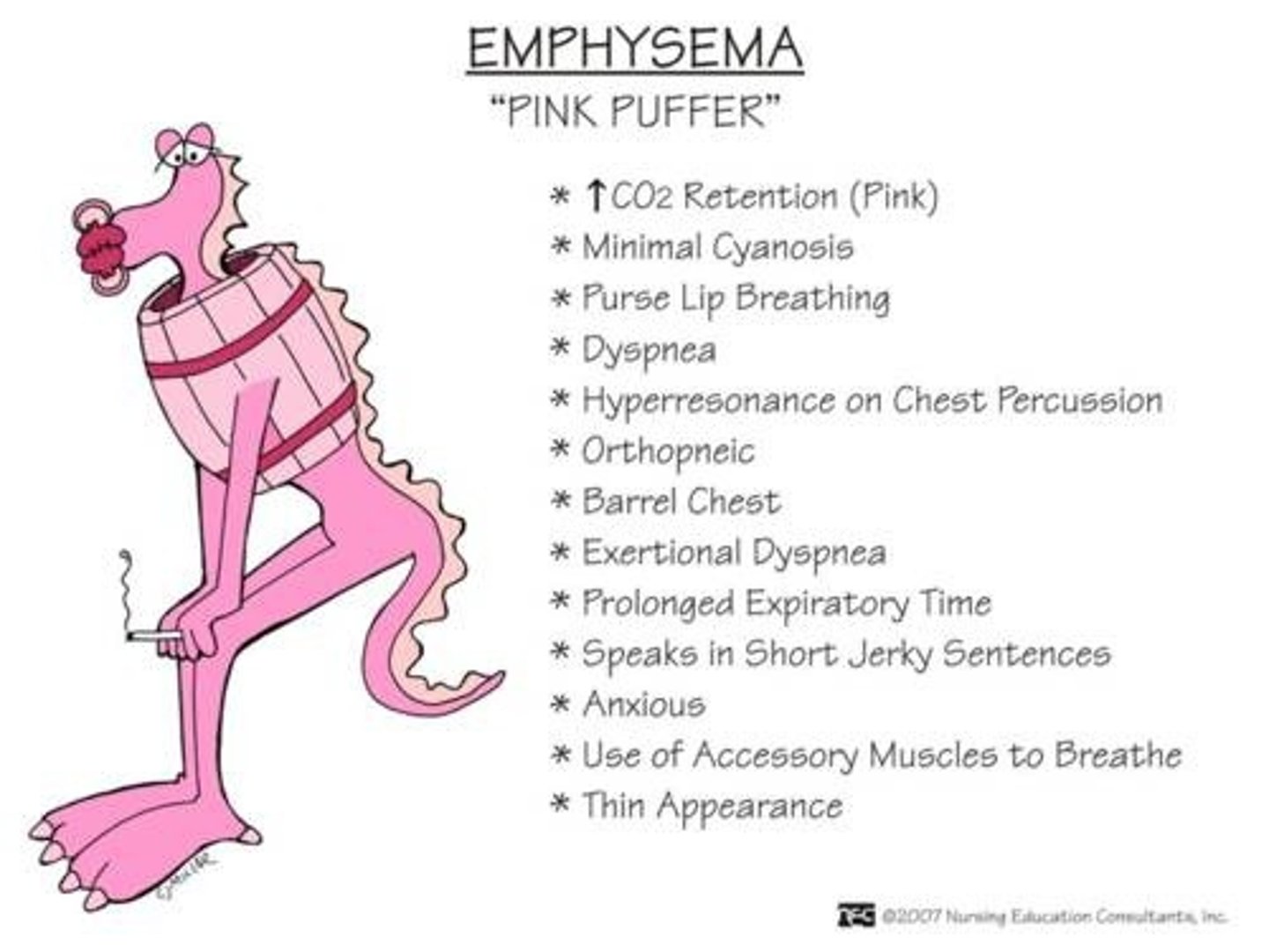 <p>"Pink puffer" (emphysema: centracinar [smoking], panacinar [alpha-1 antitrypsin deficiency])</p>