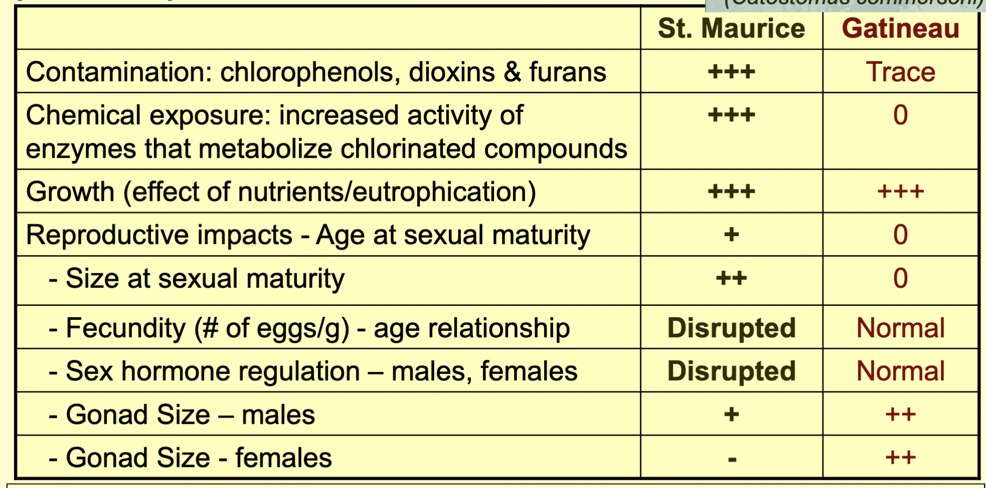 <p>Wood extractives ‘mimic’ cholesterol, block cholesterol uptake, and impair sexual maturation</p>