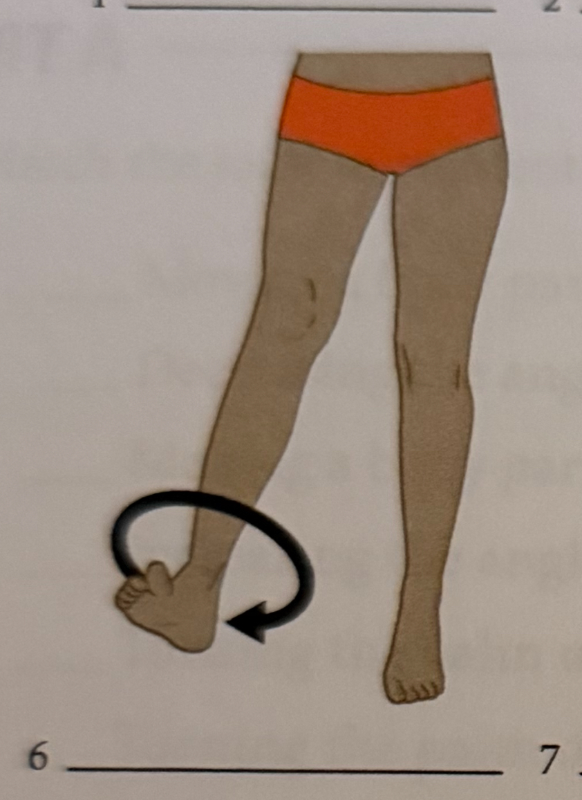 <p>moving a body part upward</p>